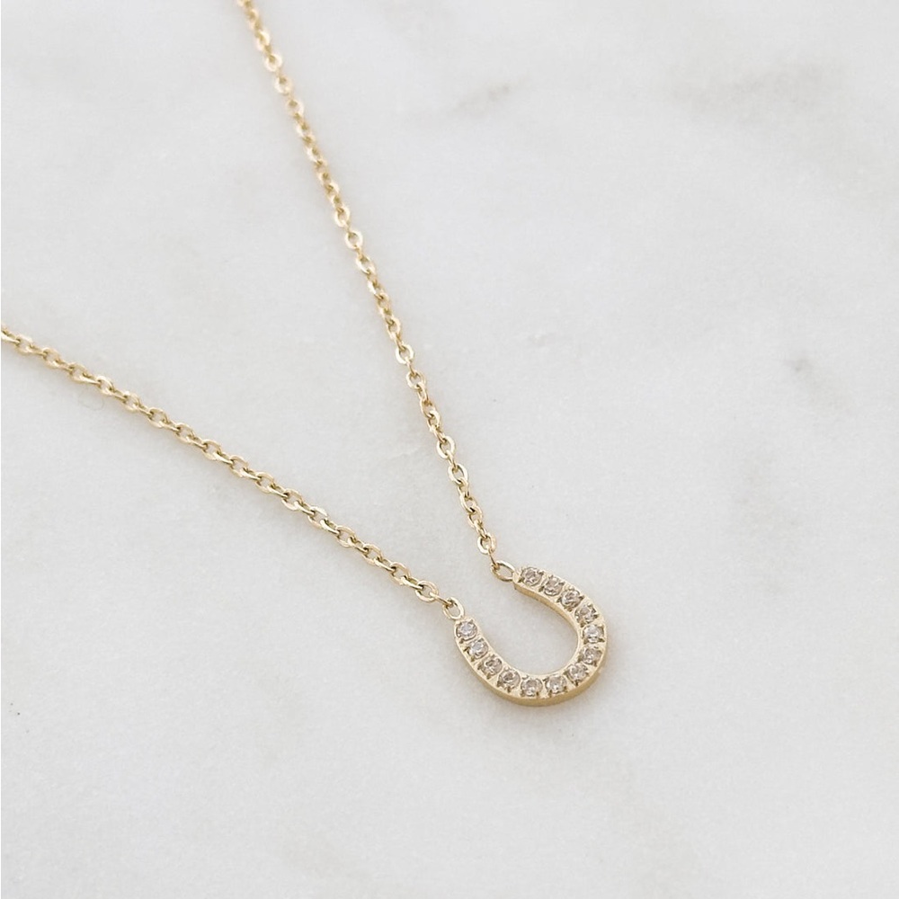 Horseshoe necklace